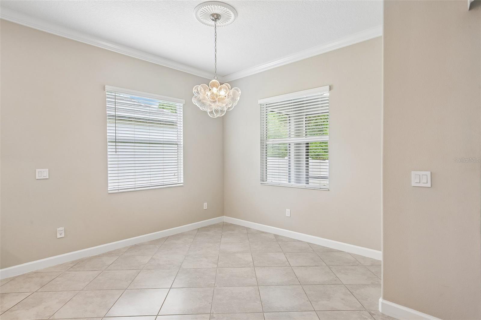 11040 BANYAN BREEZE BLVD, LAND O LAKES, FL, 34638