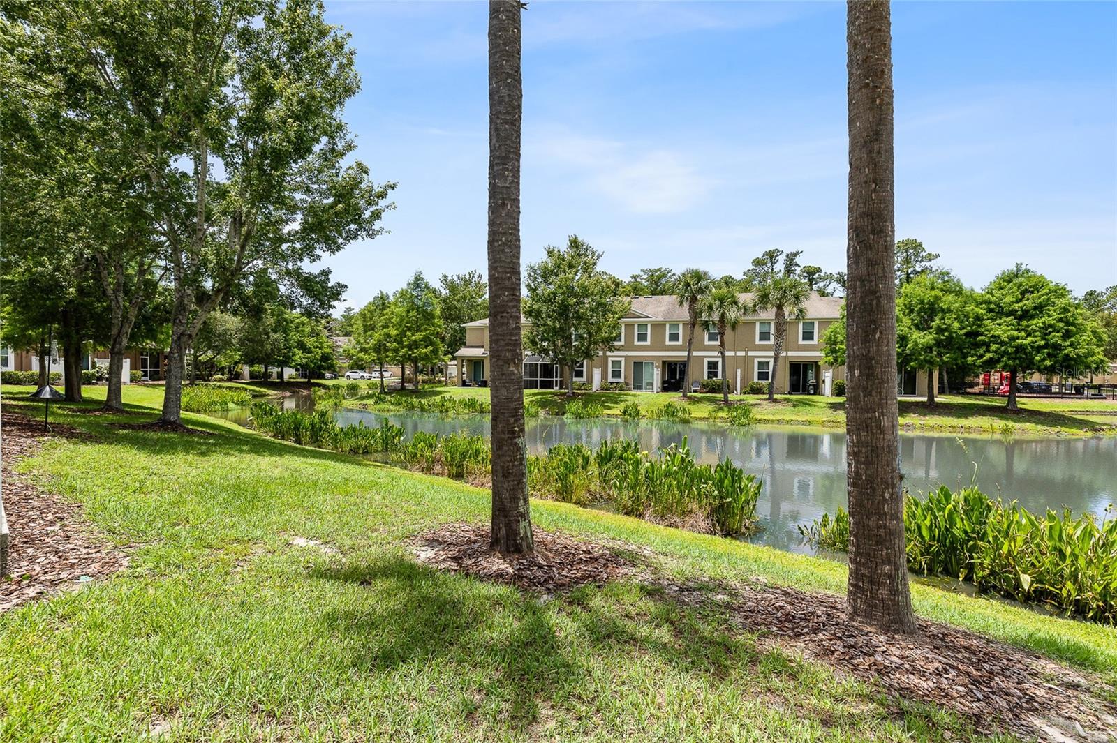 12589 STREAMDALE DR, TAMPA, FL, 33626
