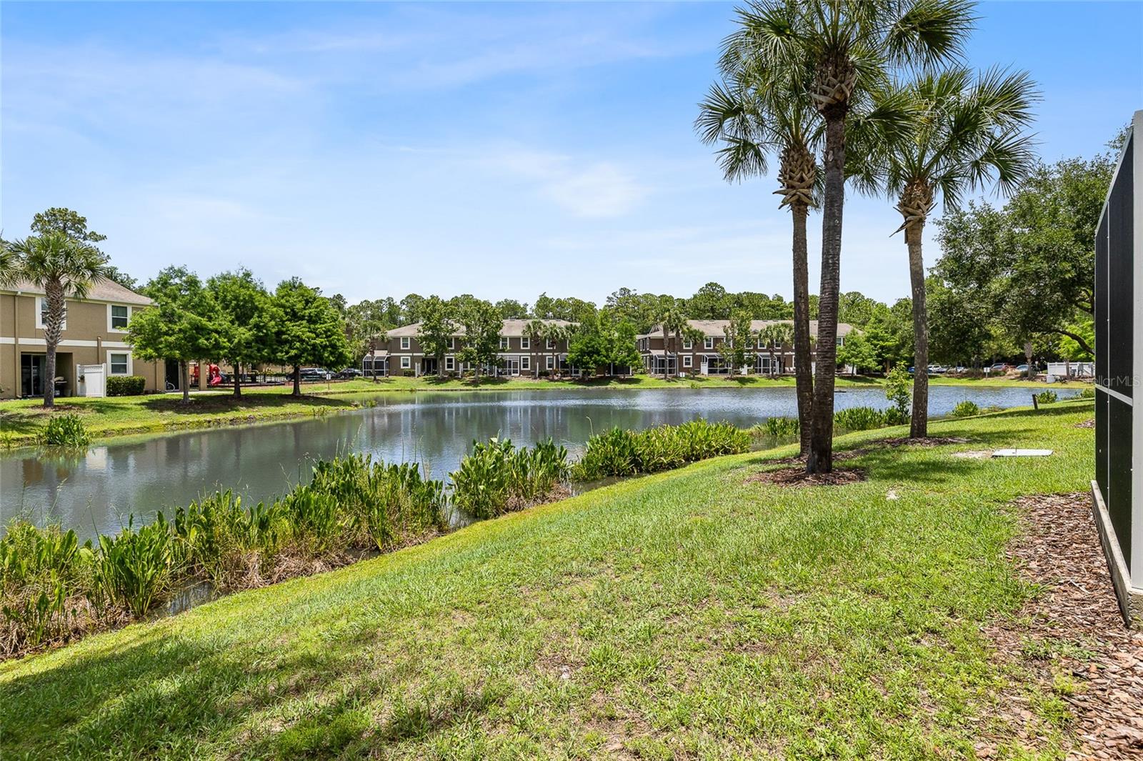 12589 STREAMDALE DR, TAMPA, FL, 33626