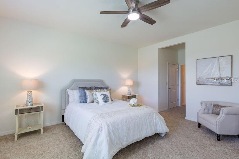 3616 MOSSY LIMB CT, PALMETTO, FL, 34221