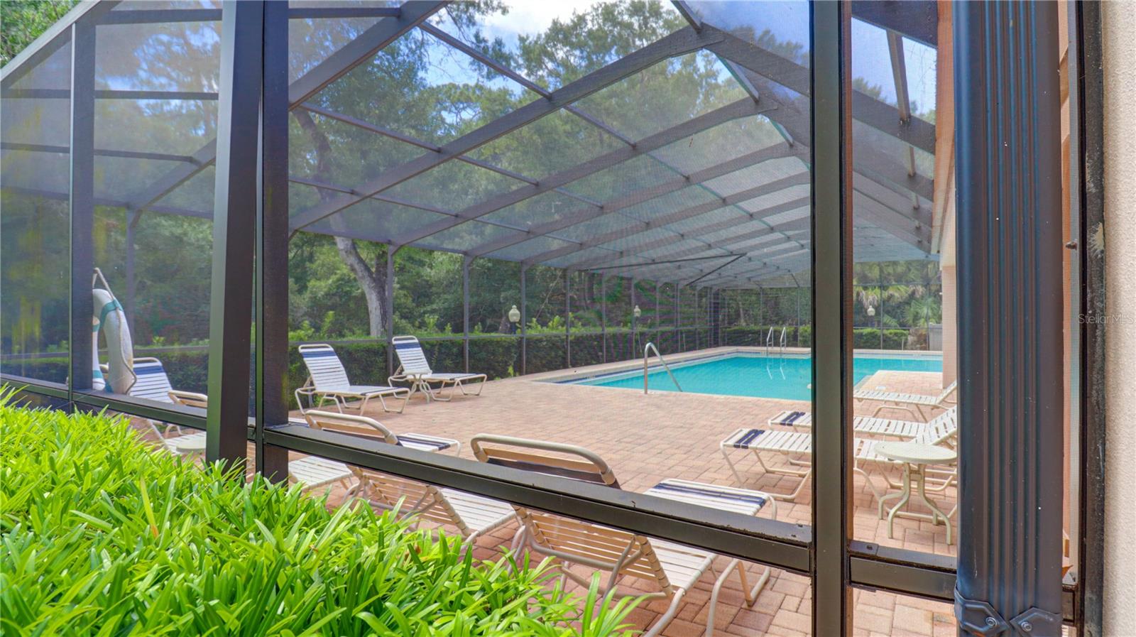 3399 MERMOOR DR #207, PALM HARBOR, FL, 34685