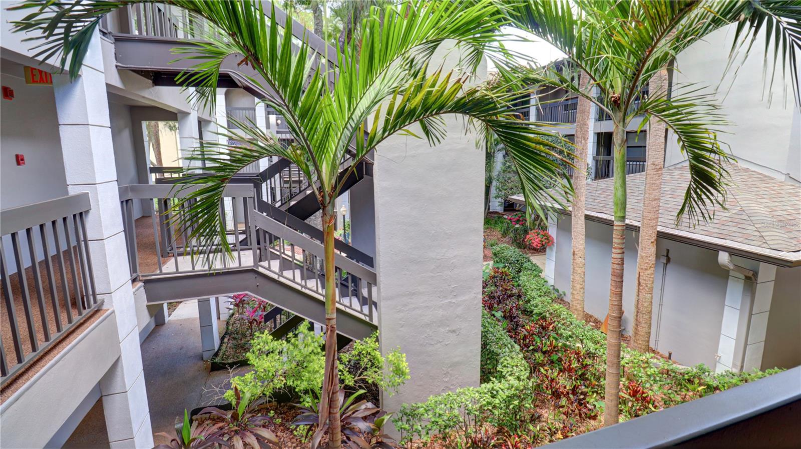 3399 MERMOOR DR #207, PALM HARBOR, FL, 34685