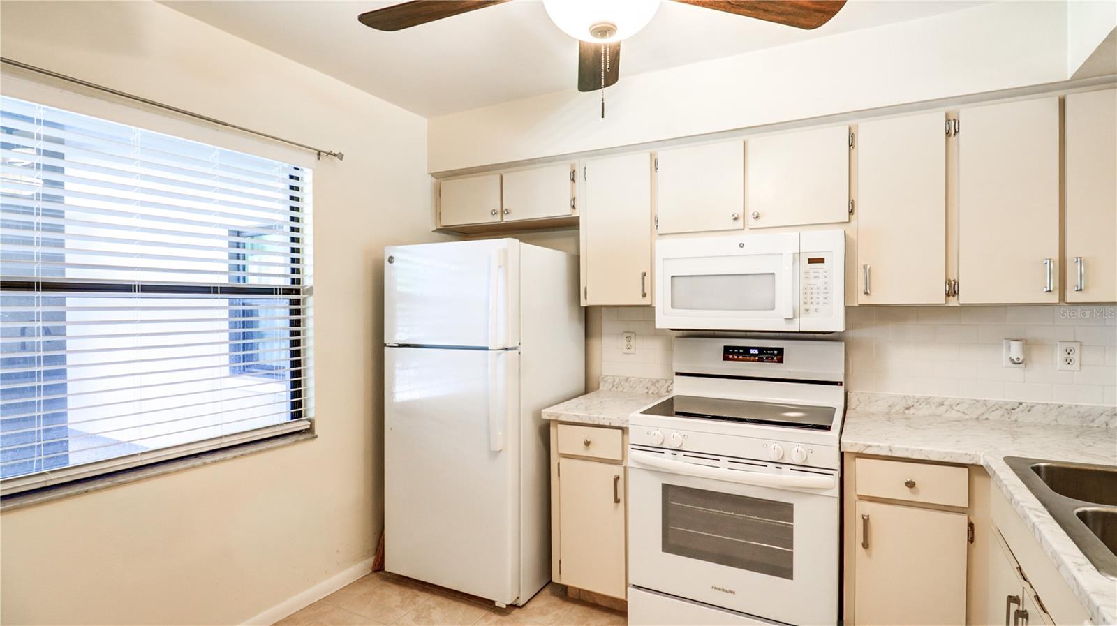 3399 MERMOOR DR #207, PALM HARBOR, FL, 34685