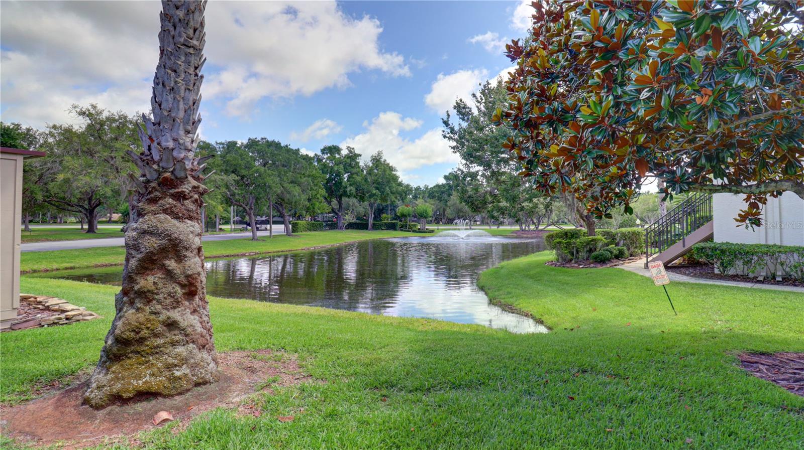 3399 MERMOOR DR #207, PALM HARBOR, FL, 34685