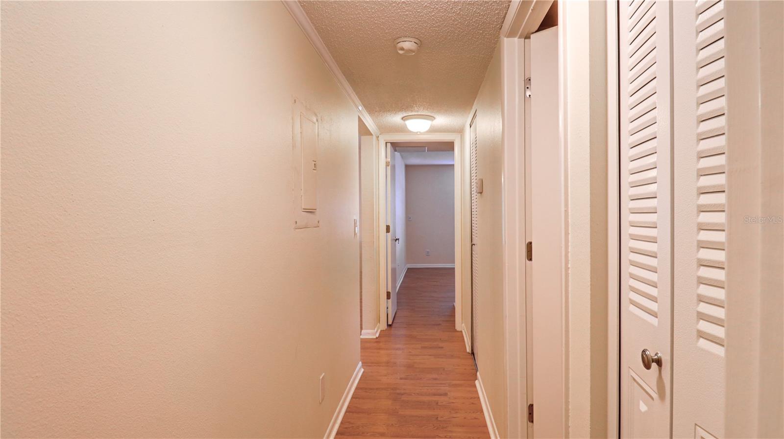 3399 MERMOOR DR #207, PALM HARBOR, FL, 34685