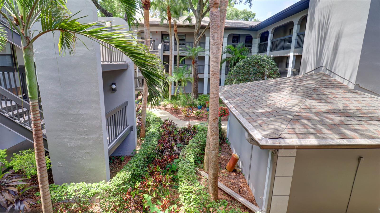 3399 MERMOOR DR #207, PALM HARBOR, FL, 34685