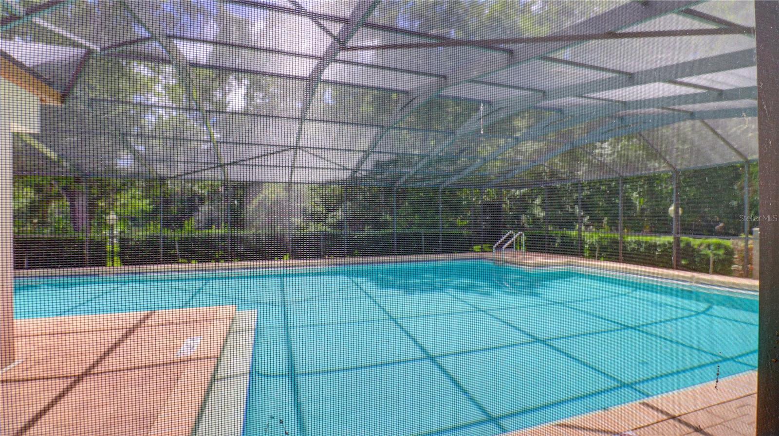 3399 MERMOOR DR #207, PALM HARBOR, FL, 34685
