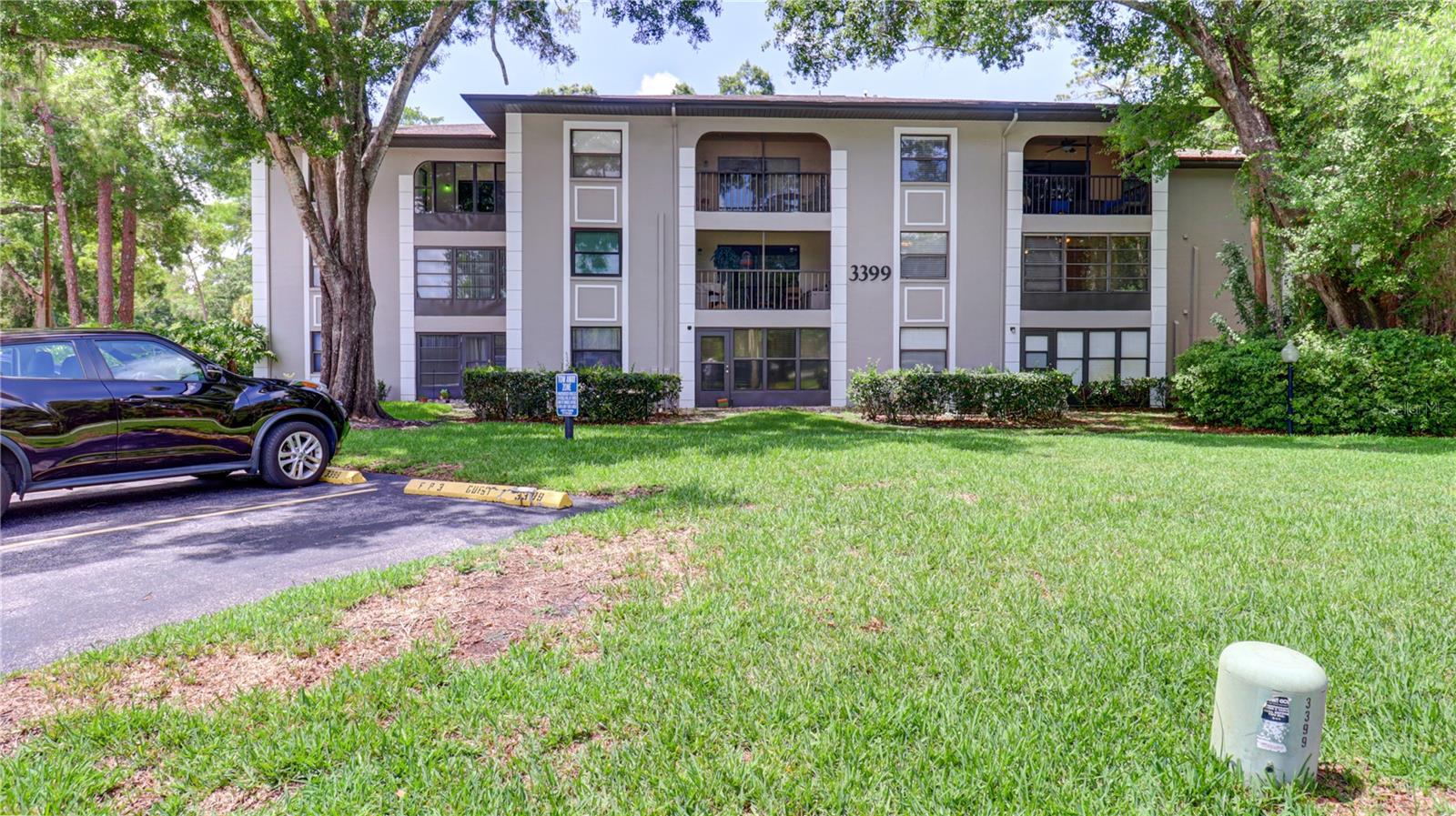 3399 MERMOOR DR #207, PALM HARBOR, FL, 34685