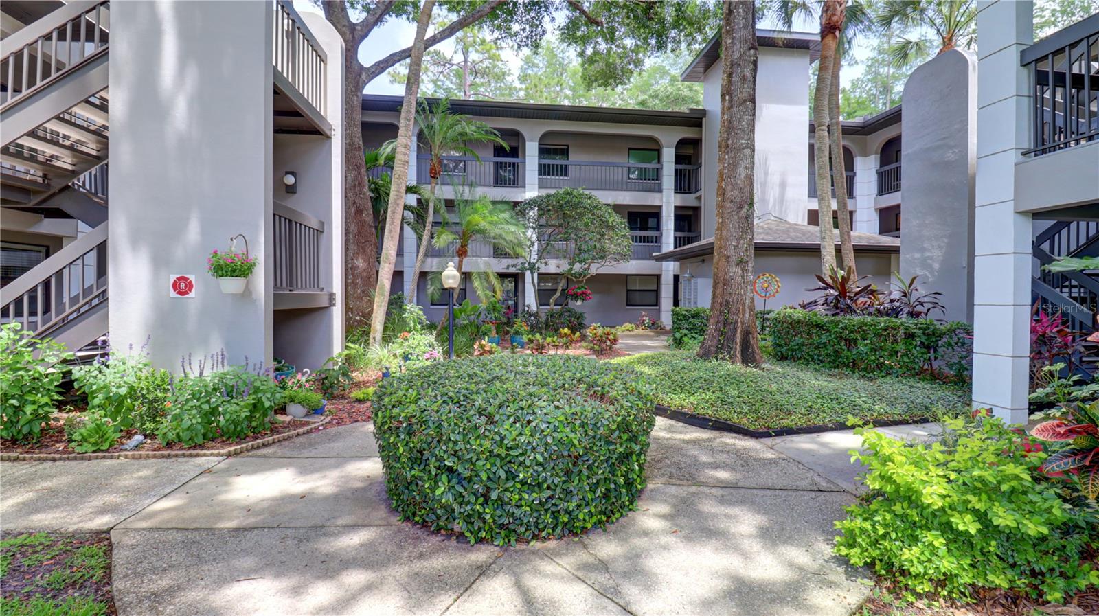 3399 MERMOOR DR #207, PALM HARBOR, FL, 34685