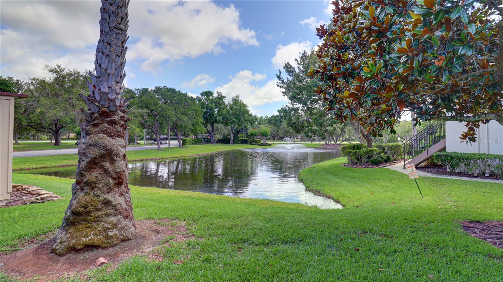 3399 MERMOOR DR #207, PALM HARBOR, FL, 34685