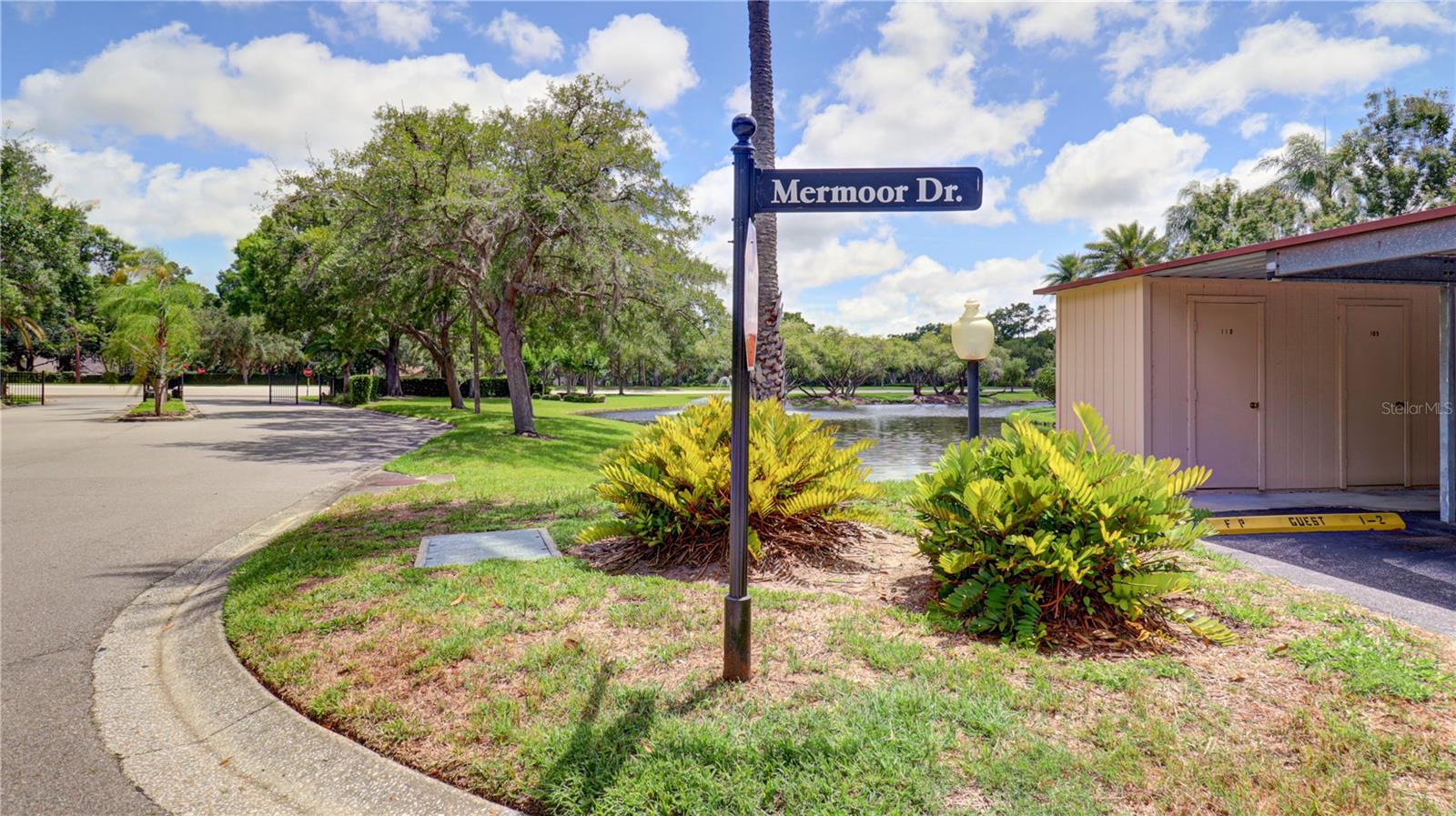 3399 MERMOOR DR #207, PALM HARBOR, FL, 34685