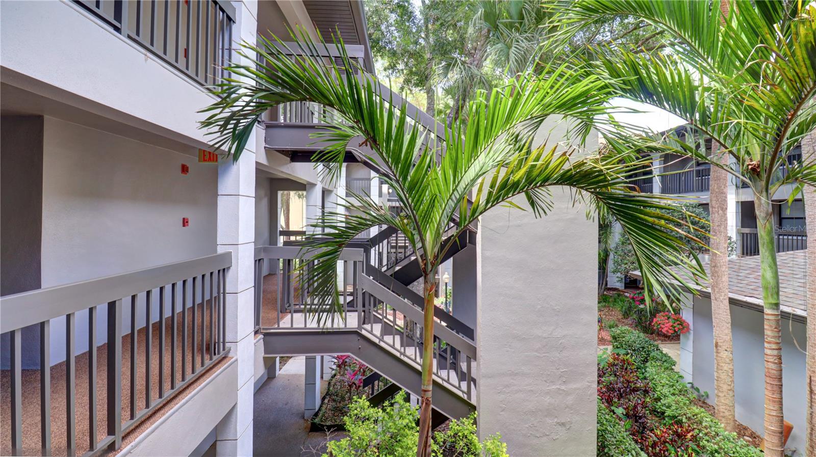 3399 MERMOOR DR #207, PALM HARBOR, FL, 34685