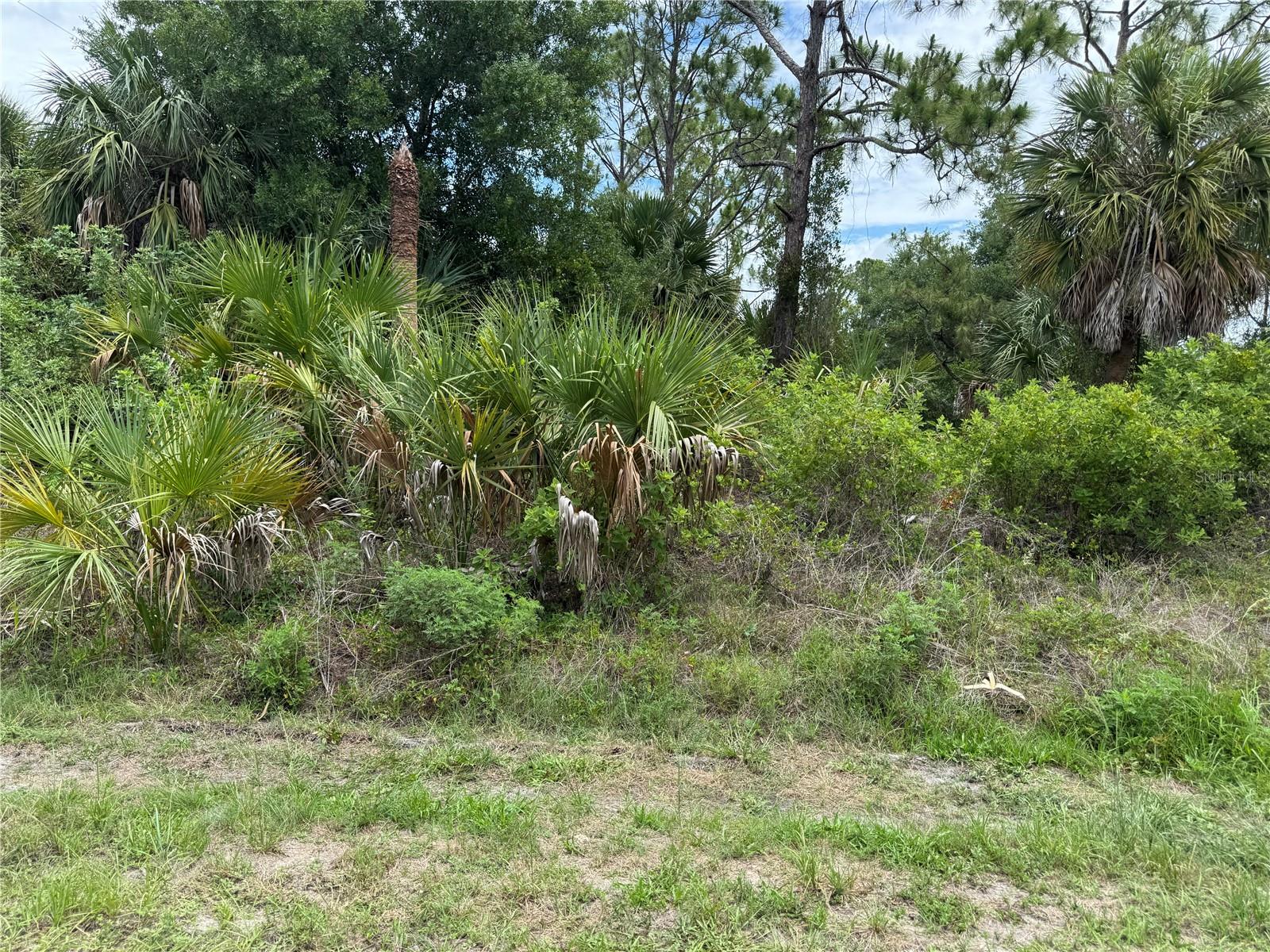 22404 SEYBURN TER, PORT CHARLOTTE, FL, 33954