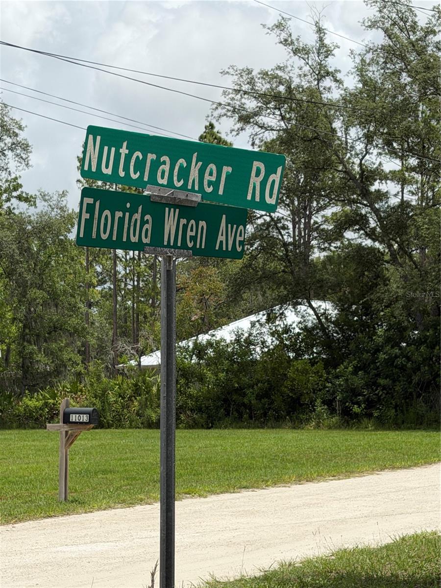 18011 NUTCRACKER RD, WEEKI WACHEE, FL, 34614