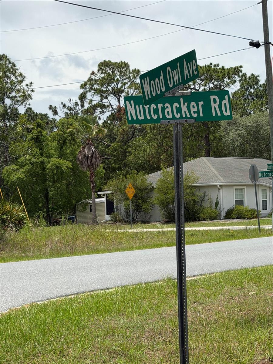 18011 NUTCRACKER RD, WEEKI WACHEE, FL, 34614