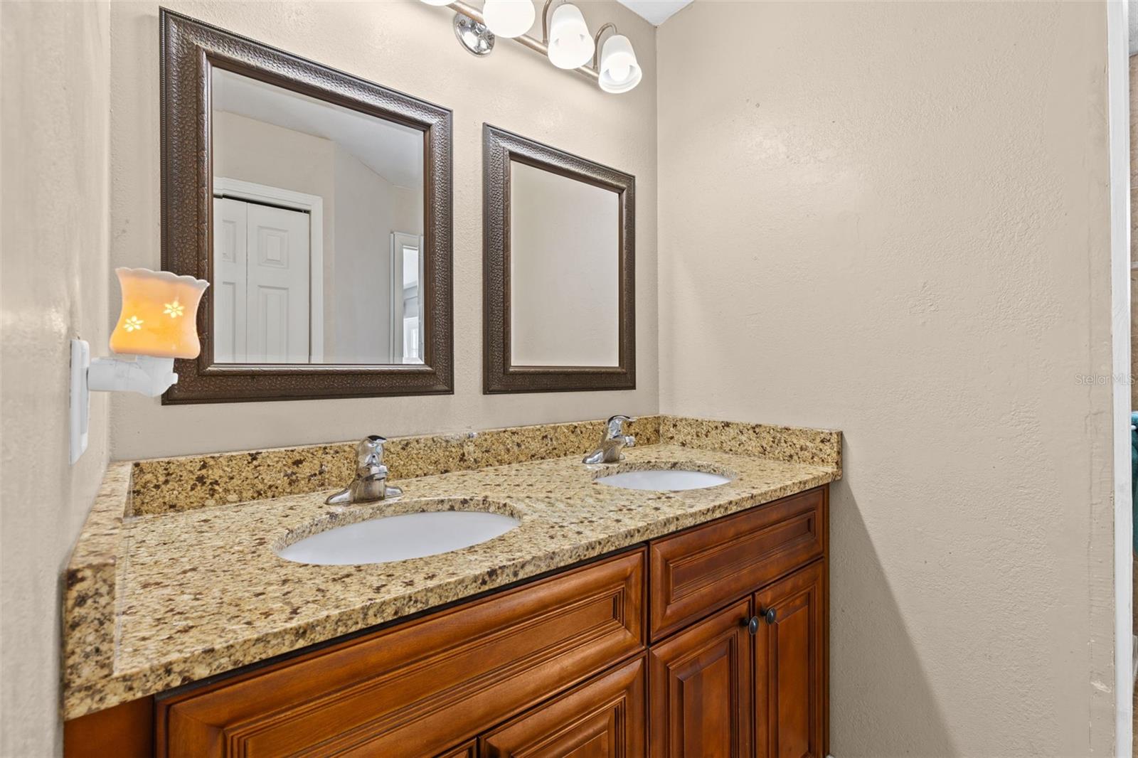 16205 COPPERFIELD DR, TAMPA, FL, 33618