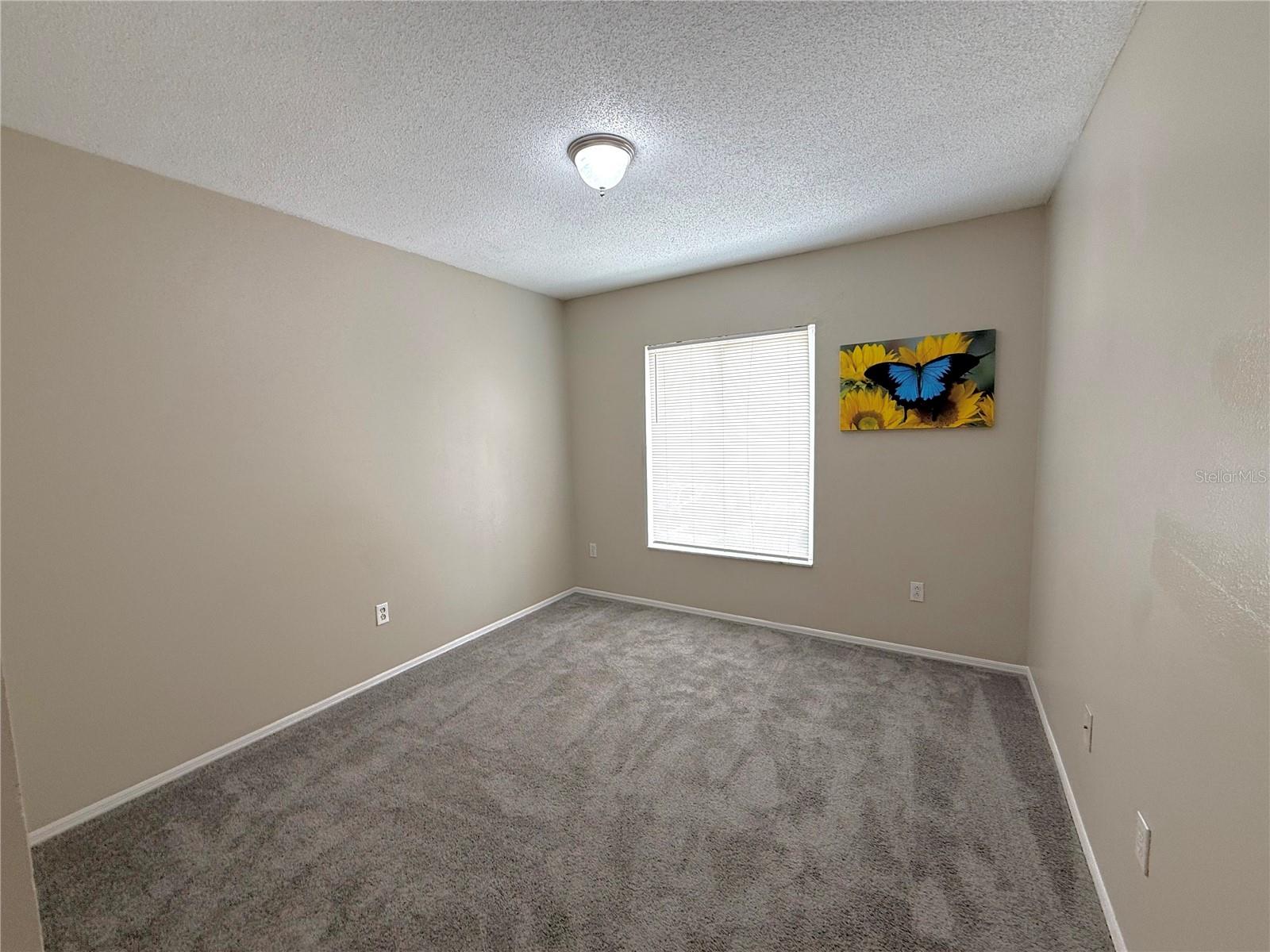 2035 FLUORSHIRE DR, BRANDON, FL, 33511