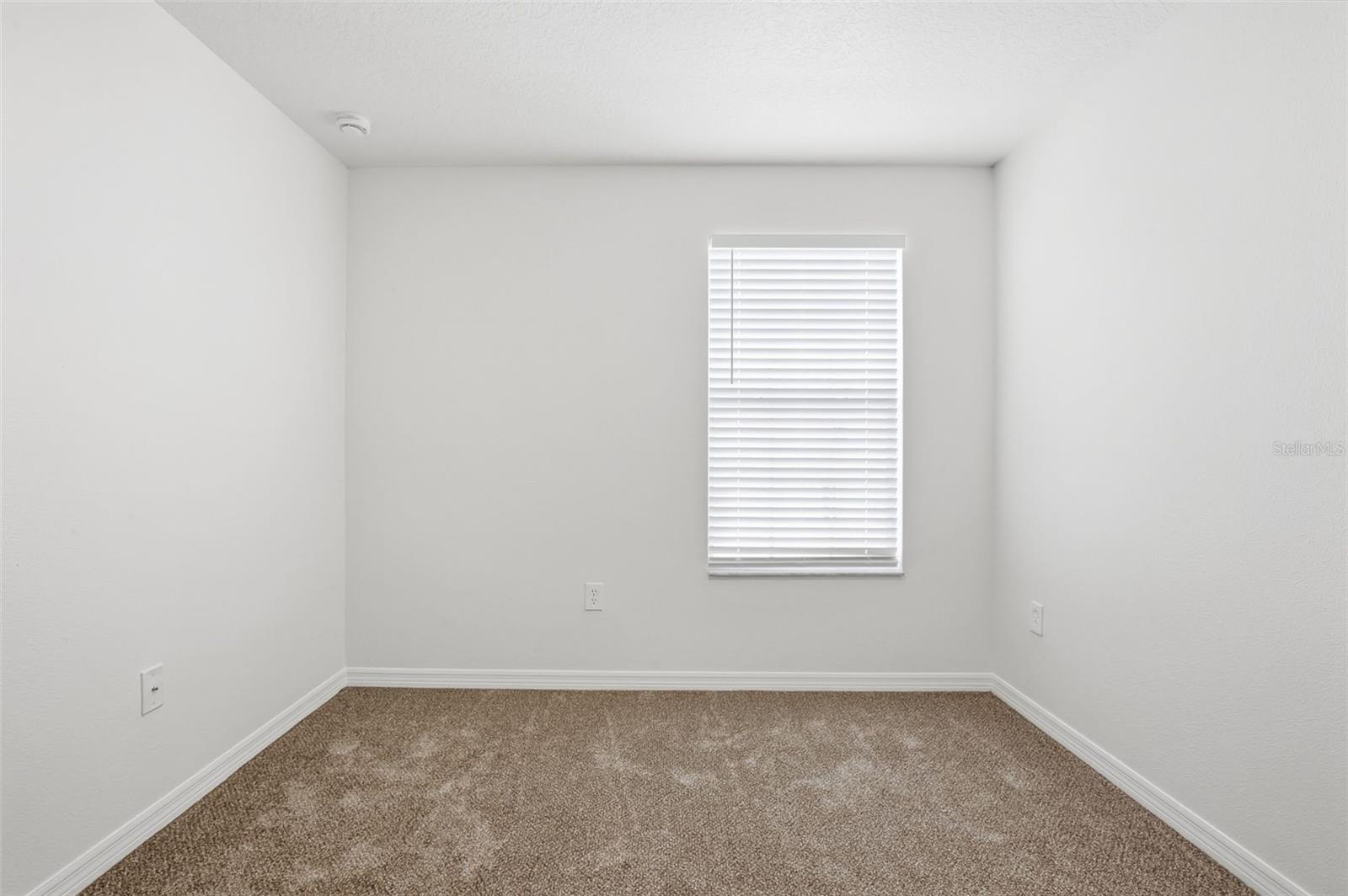 20506 CAROLINA CHERRY CT, TAMPA, FL, 33647