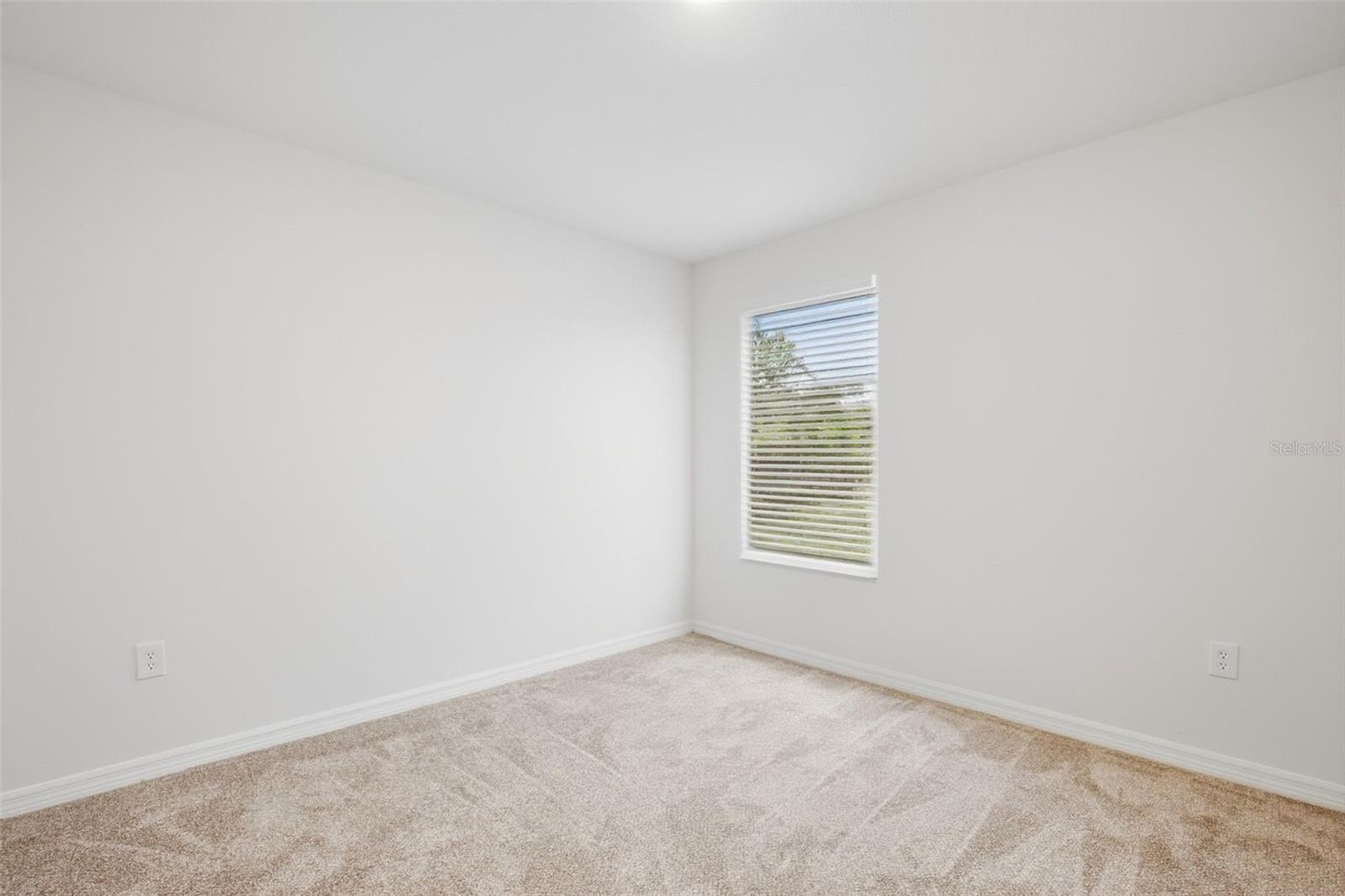 20506 CAROLINA CHERRY CT, TAMPA, FL, 33647