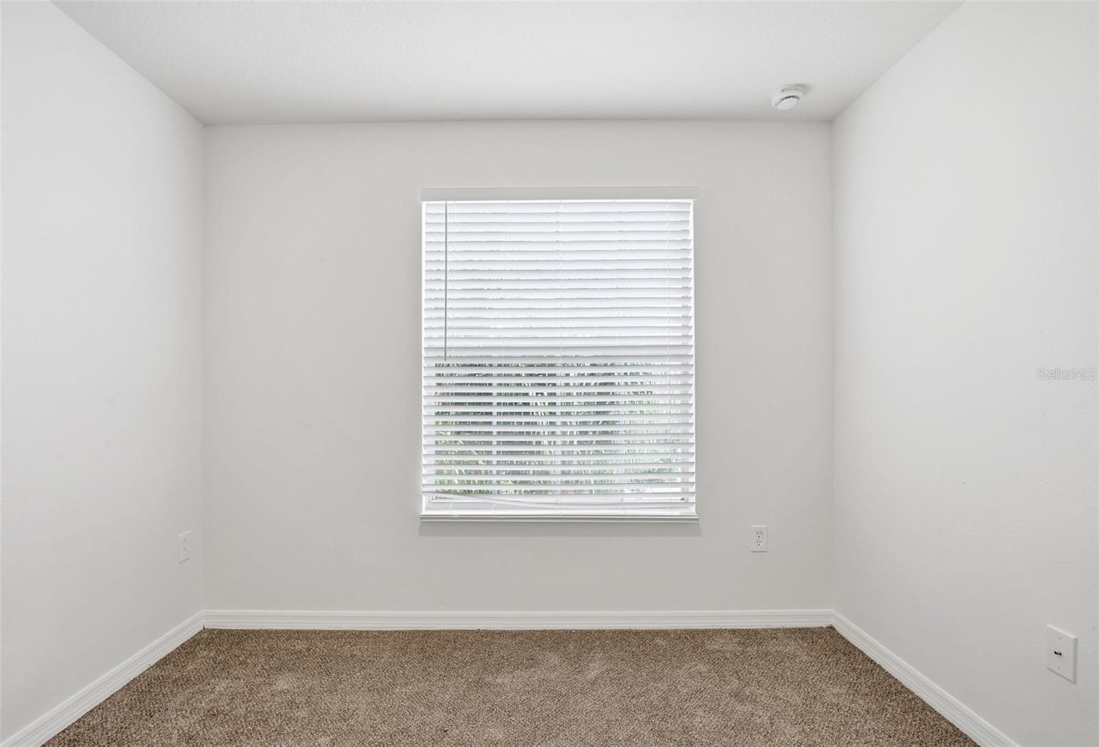 20506 CAROLINA CHERRY CT, TAMPA, FL, 33647