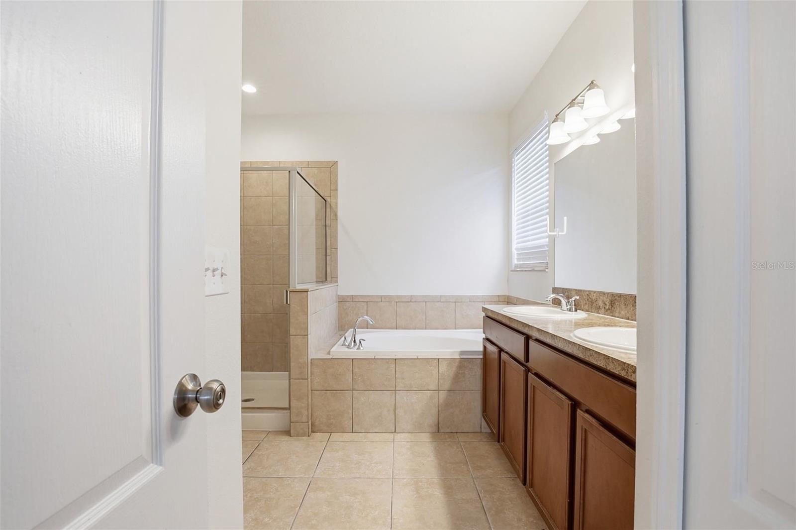 20506 CAROLINA CHERRY CT, TAMPA, FL, 33647