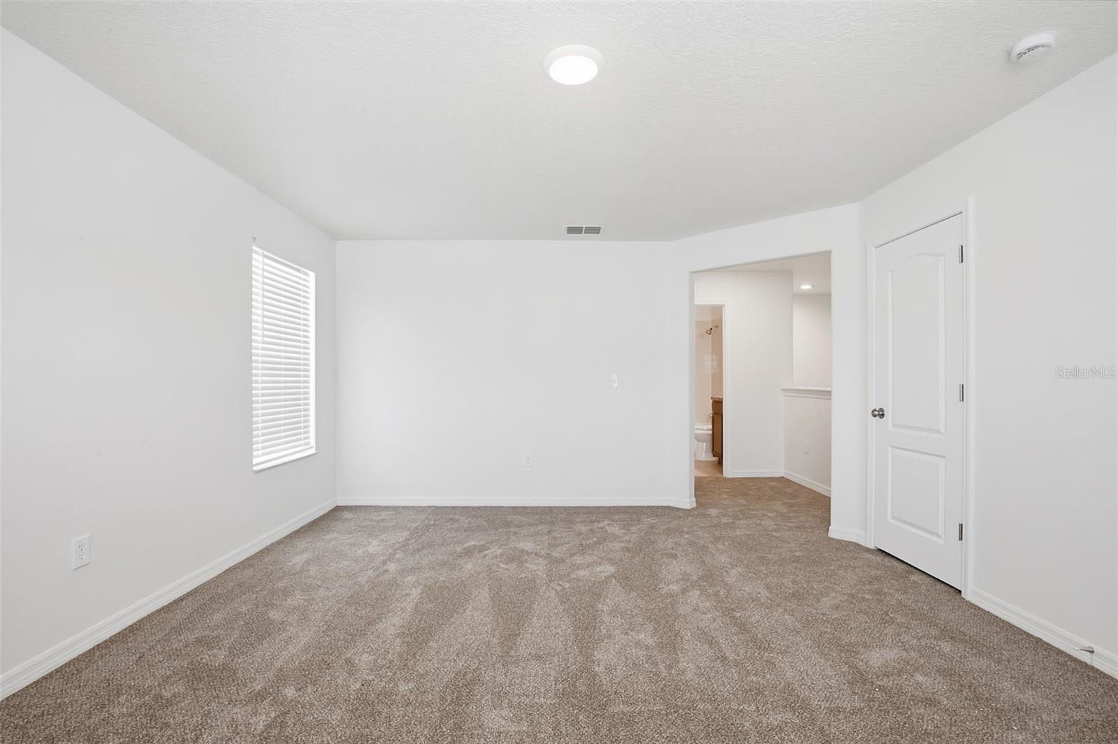 20506 CAROLINA CHERRY CT, TAMPA, FL, 33647