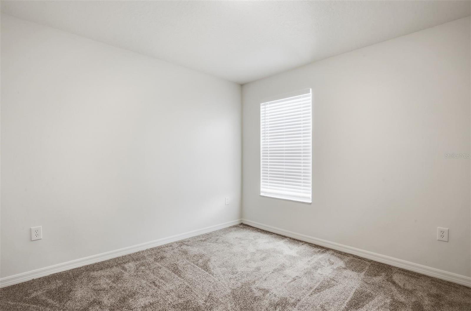 20506 CAROLINA CHERRY CT, TAMPA, FL, 33647