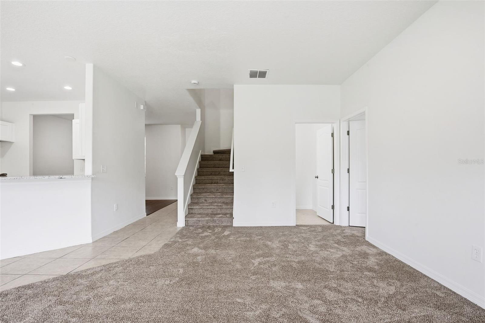 20506 CAROLINA CHERRY CT, TAMPA, FL, 33647