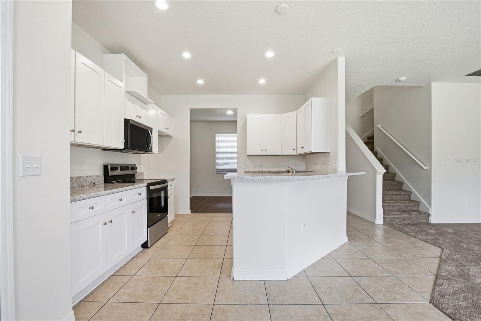 20506 CAROLINA CHERRY CT, TAMPA, FL, 33647