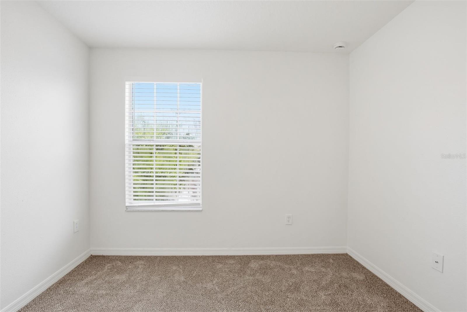 20506 CAROLINA CHERRY CT, TAMPA, FL, 33647