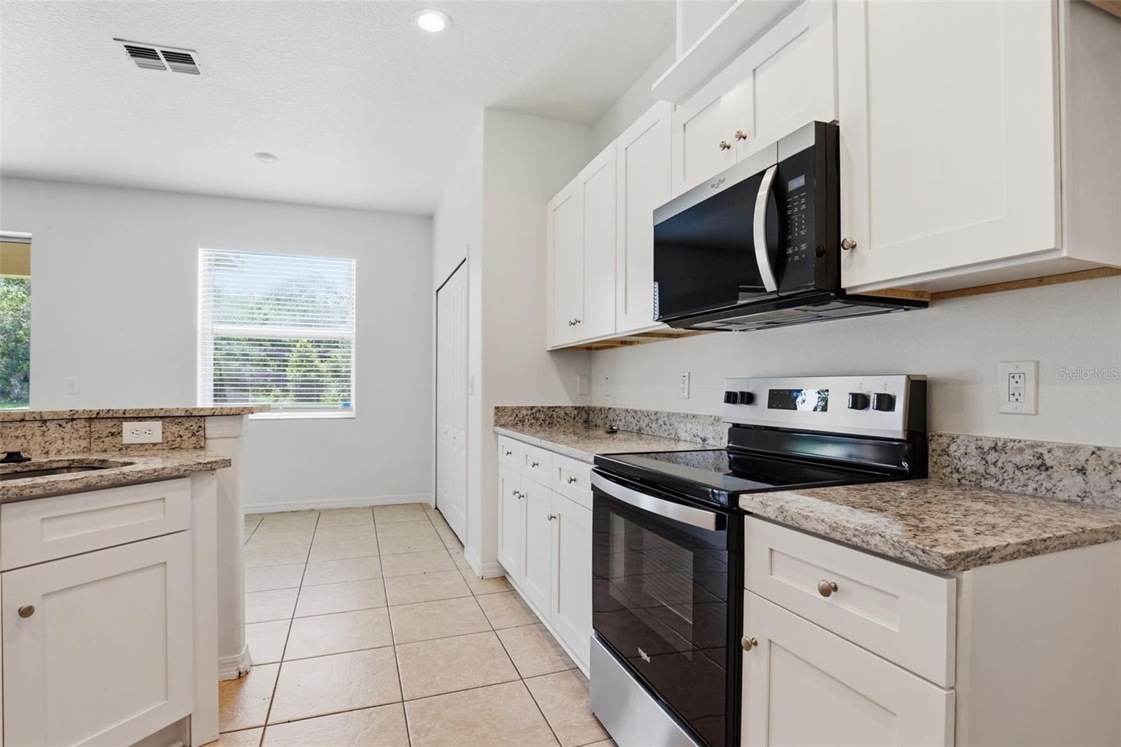 20506 CAROLINA CHERRY CT, TAMPA, FL, 33647