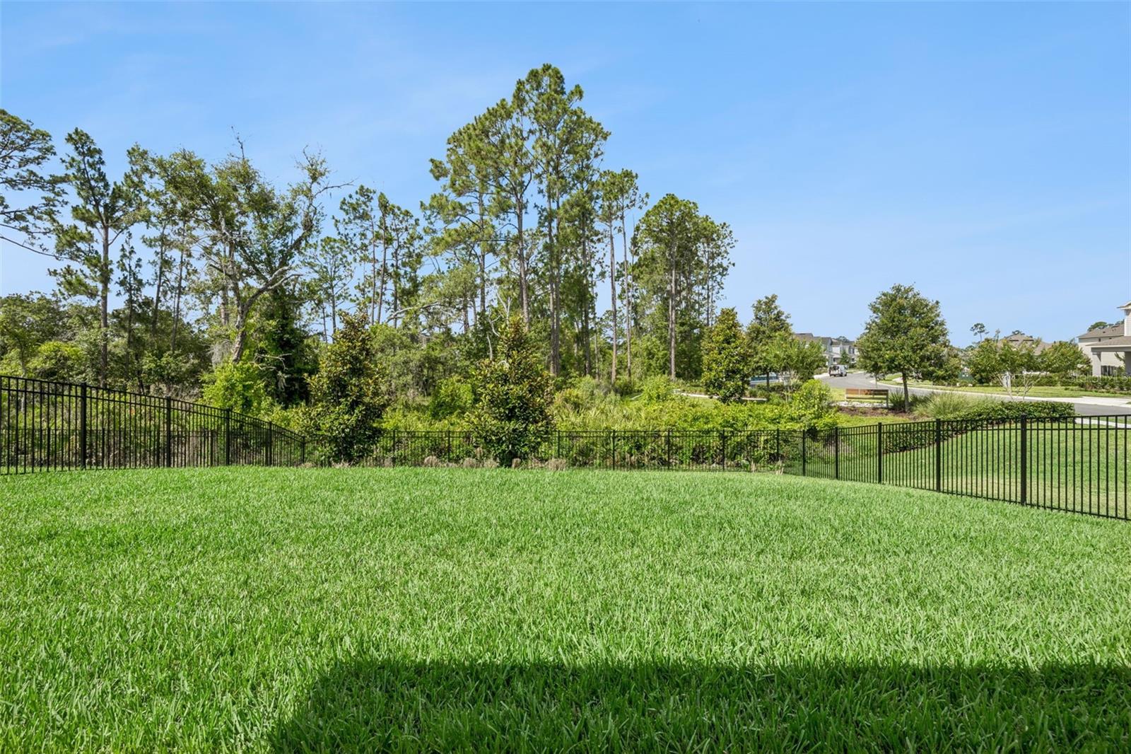 18422 OLIVER TWIST WAY, WINTER GARDEN, FL, 34787