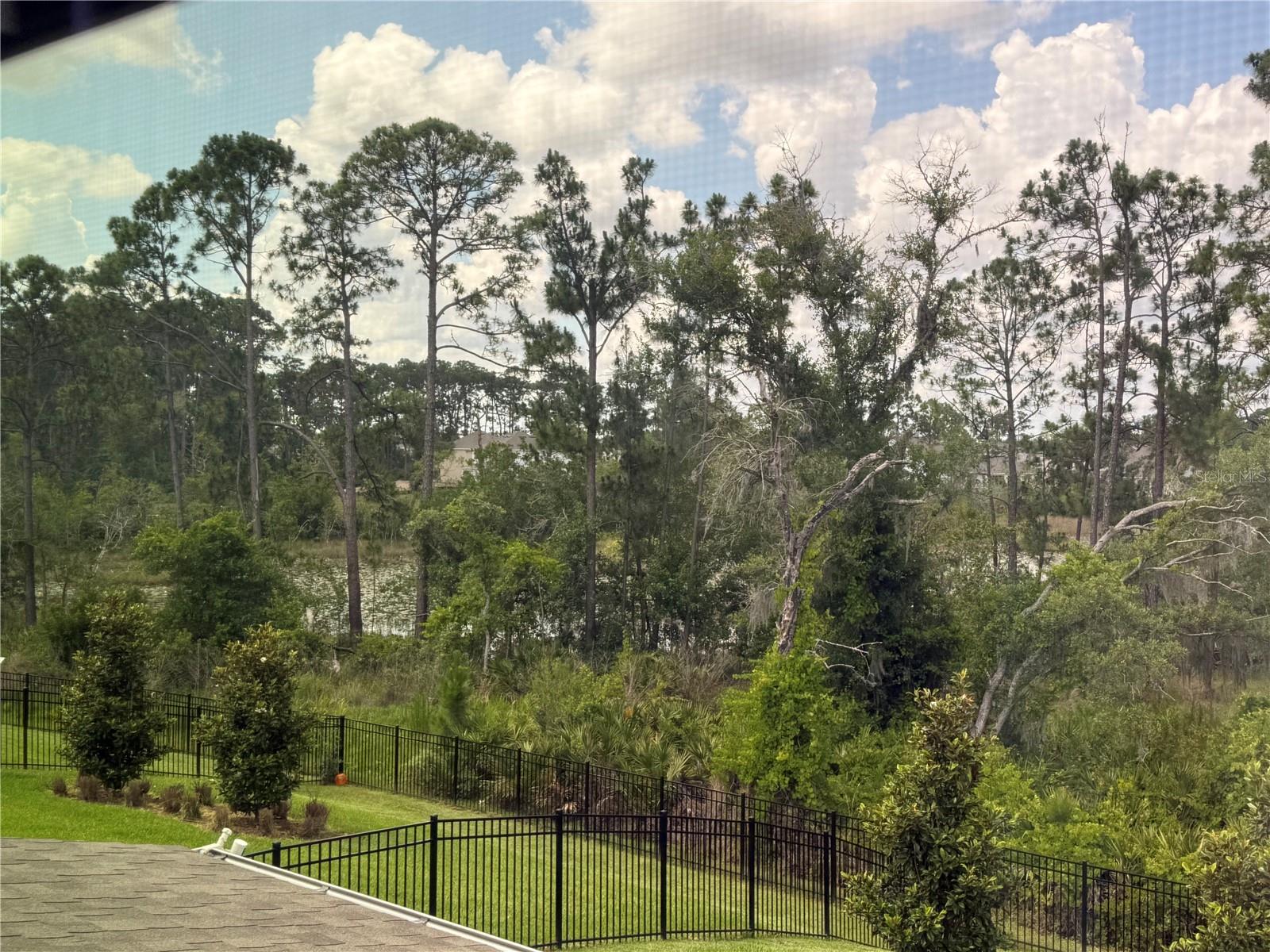 18422 OLIVER TWIST WAY, WINTER GARDEN, FL, 34787