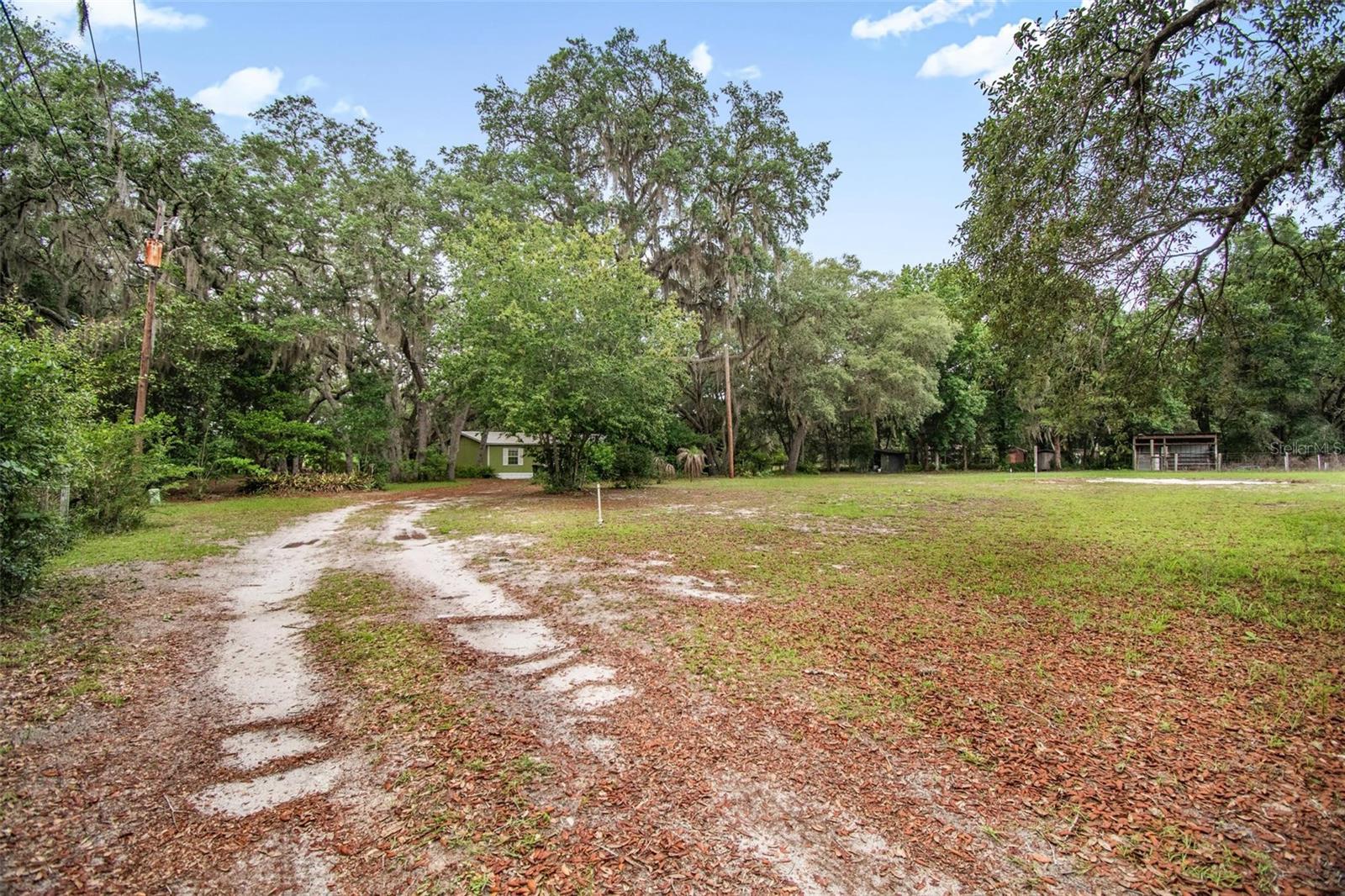 156 KINGFISH RD, POMONA PARK, FL, 32181