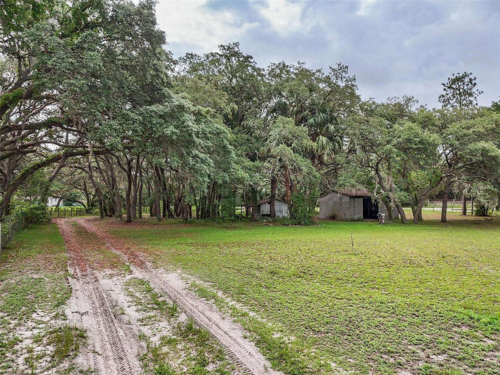 156 KINGFISH RD, POMONA PARK, FL, 32181