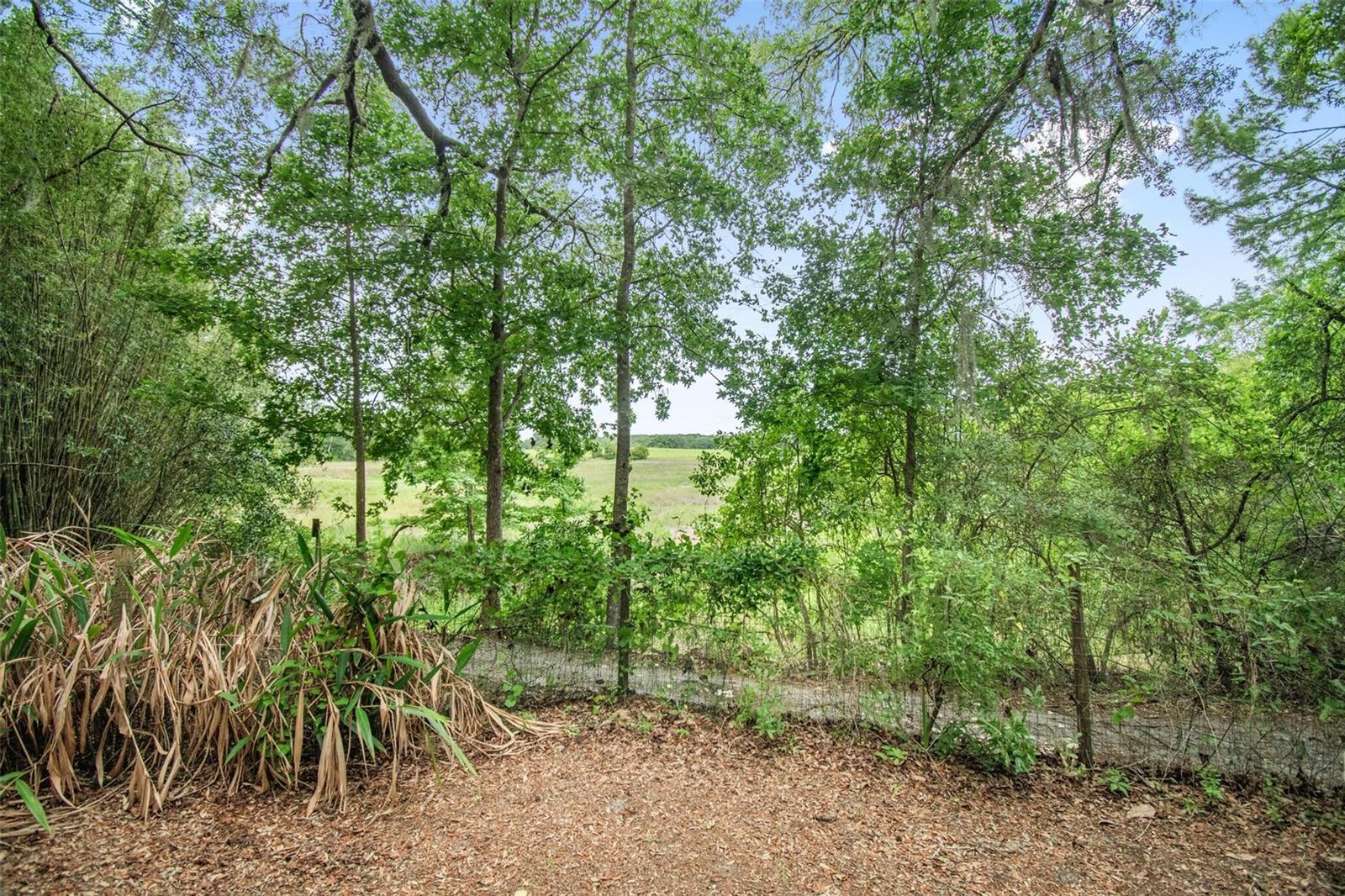 156 KINGFISH RD, POMONA PARK, FL, 32181