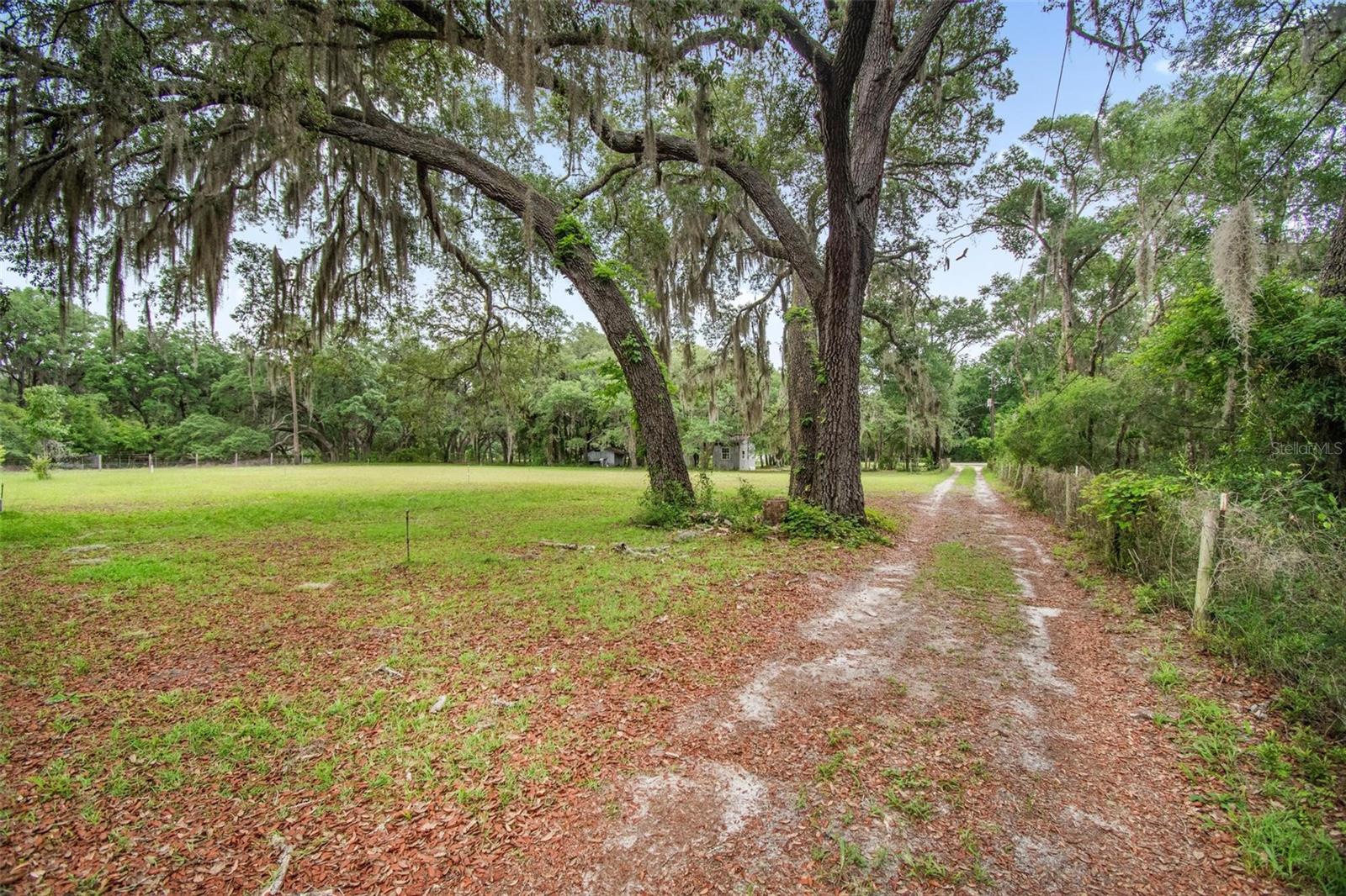 156 KINGFISH RD, POMONA PARK, FL, 32181