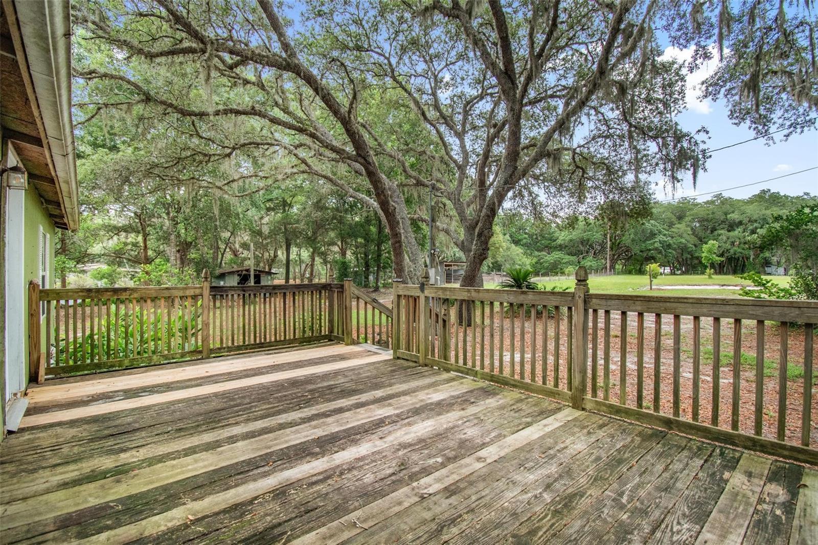 156 KINGFISH RD, POMONA PARK, FL, 32181