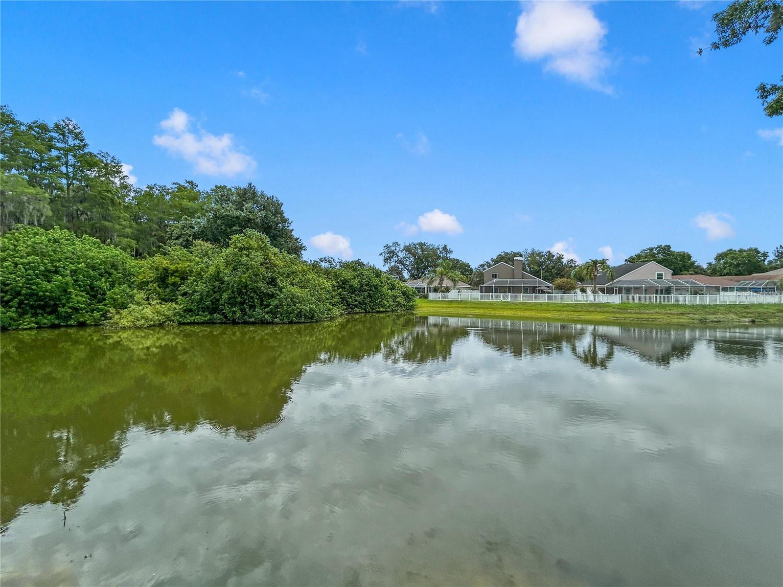 4842 WELLBROOK DR, NEW PORT RICHEY, FL, 34653