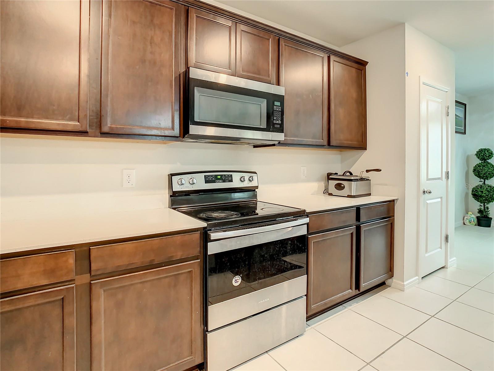 30344 MARQUETTE AVE, WESLEY CHAPEL, FL, 33545
