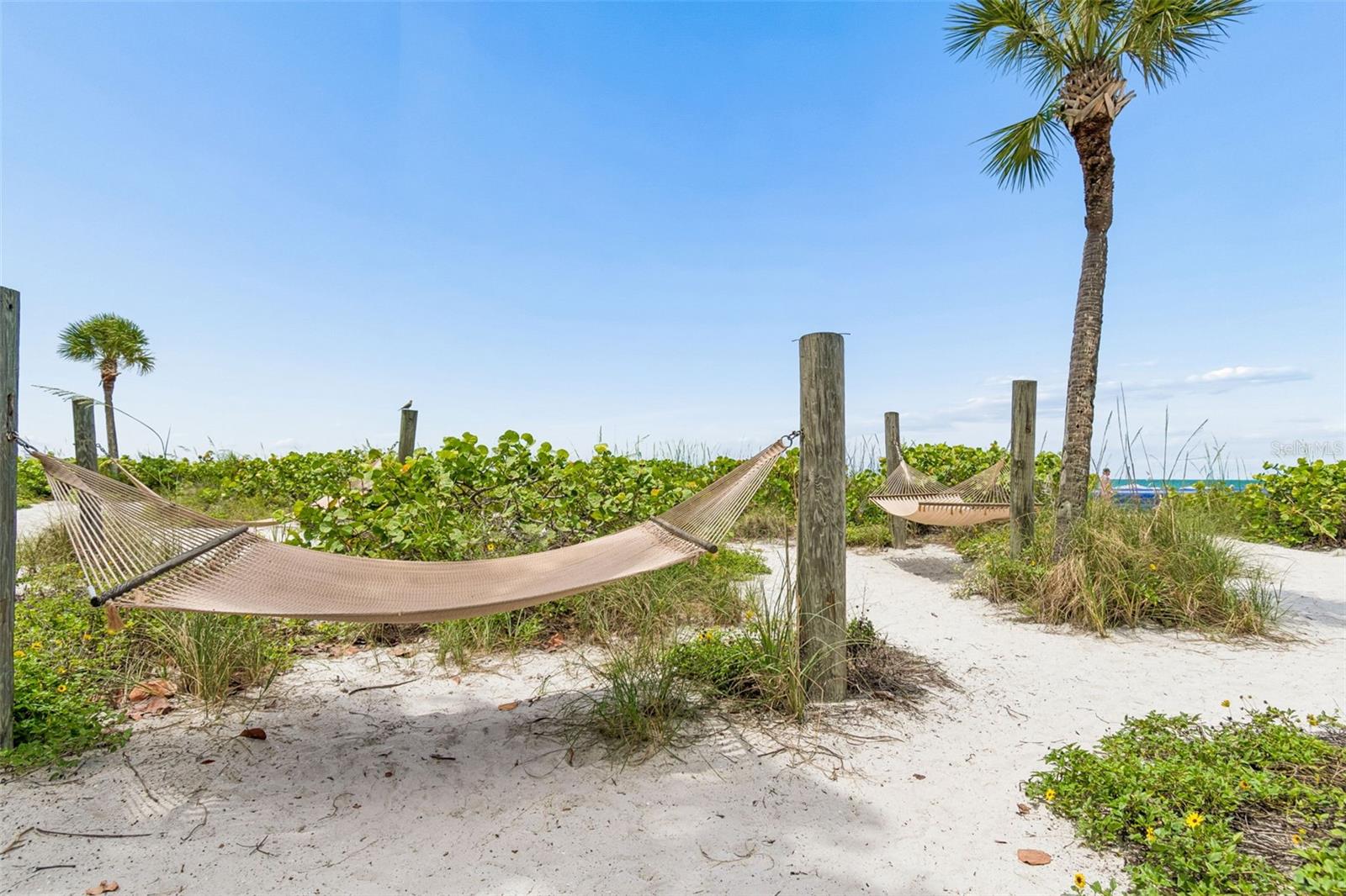 5500 GULF BLVD #6241, ST PETE BEACH, FL, 33706