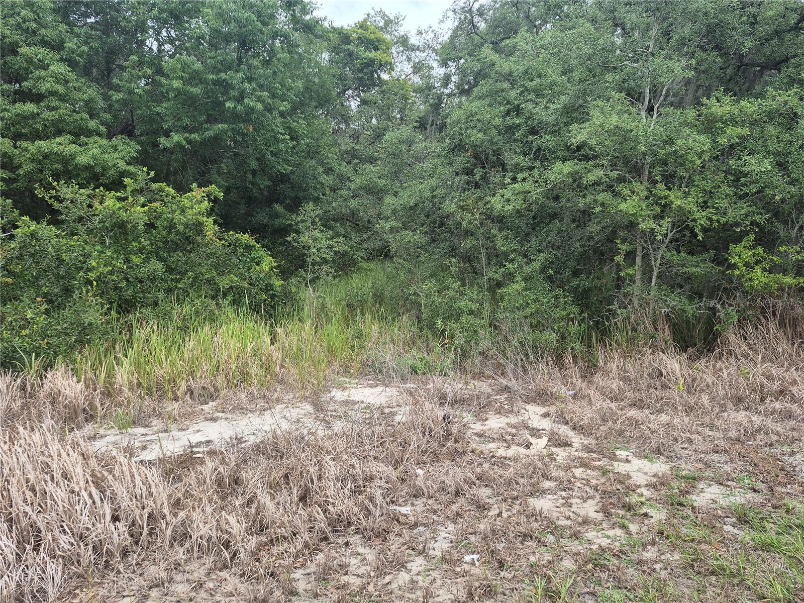 1626 S US 301, SUMTERVILLE, FL, 33585