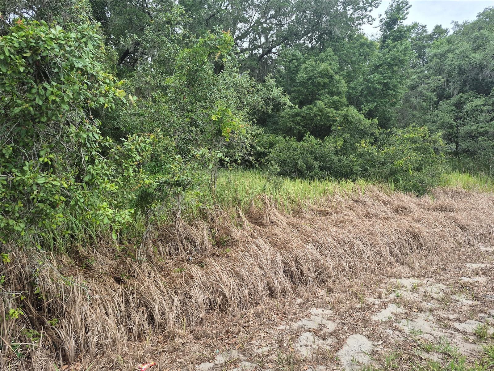 1626 S US 301, SUMTERVILLE, FL, 33585