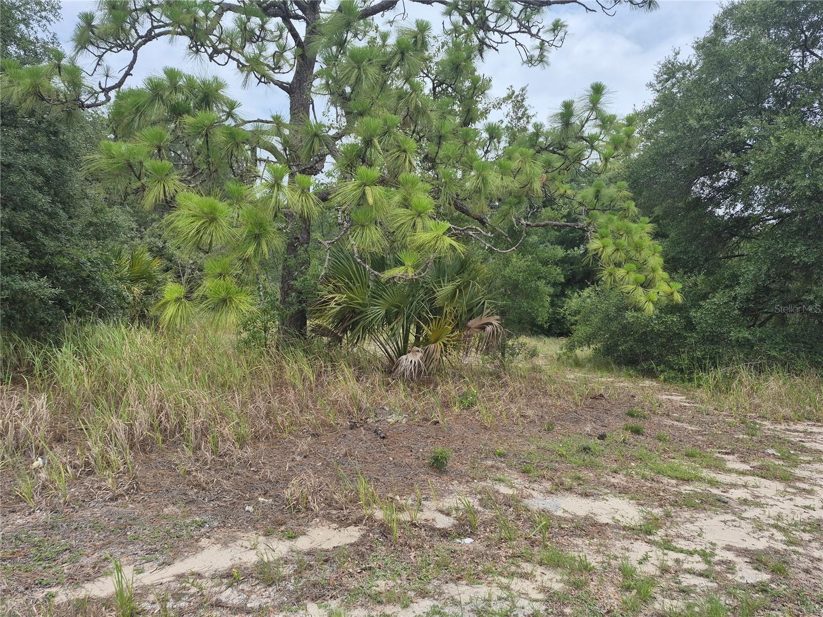 1626 S US 301, SUMTERVILLE, FL, 33585