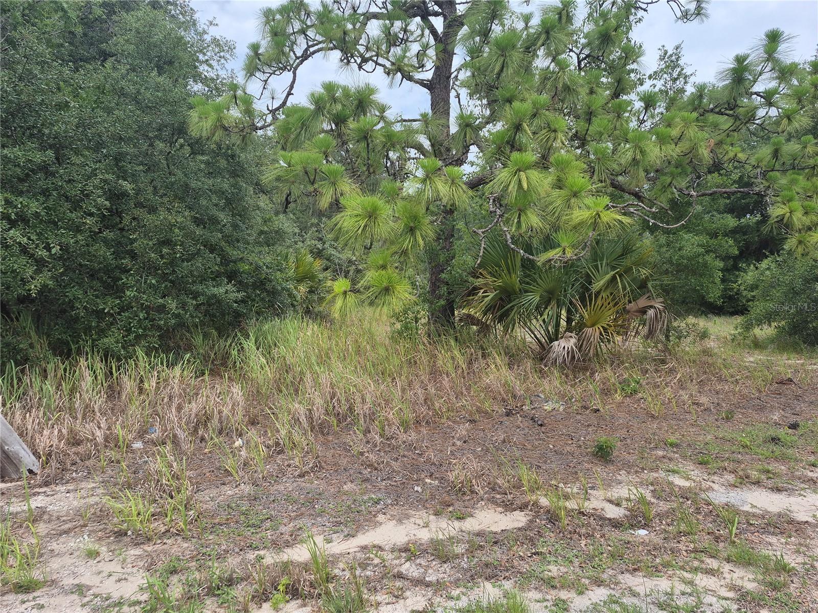 1626 S US 301, SUMTERVILLE, FL, 33585
