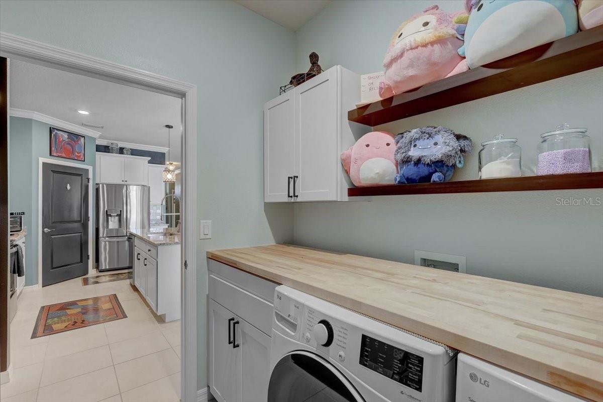 3921 MOSSY LIMB CT, PALMETTO, FL, 34221