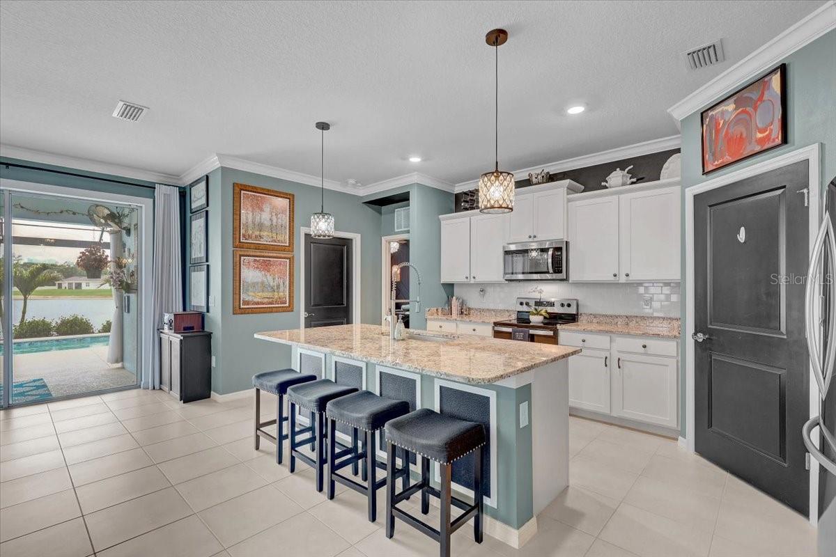 3921 MOSSY LIMB CT, PALMETTO, FL, 34221