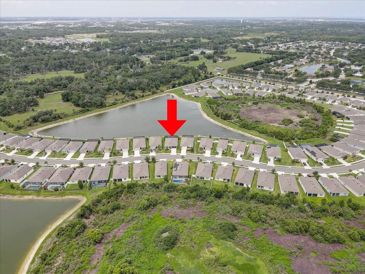 3921 MOSSY LIMB CT, PALMETTO, FL, 34221
