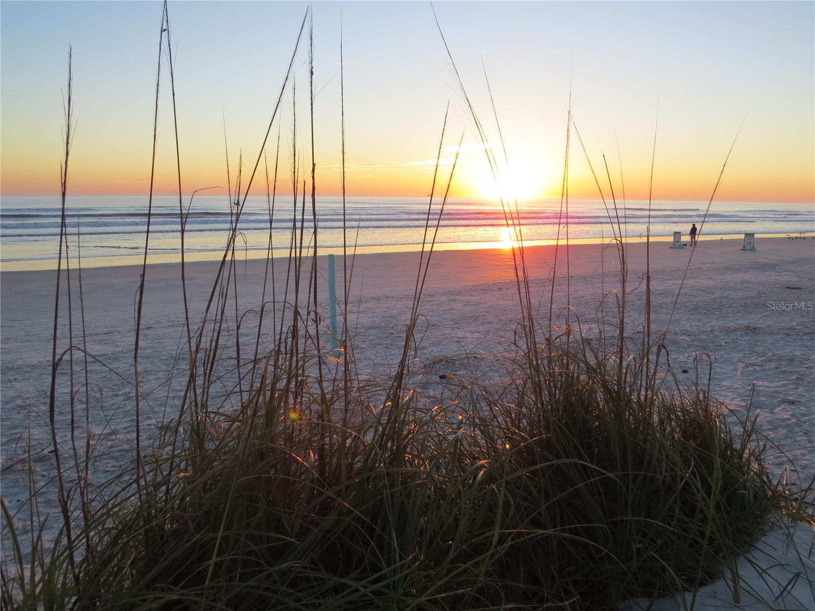 4 BIRDIE DR, NEW SMYRNA BEACH, FL, 32168