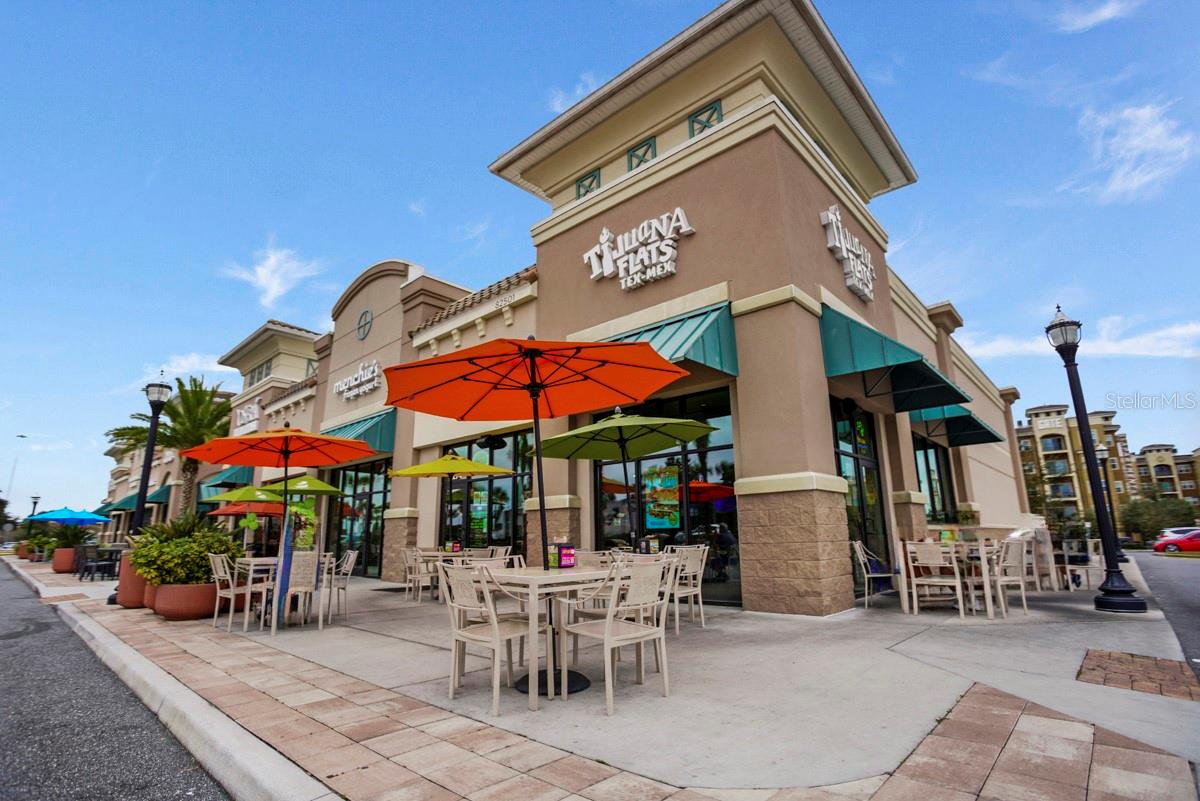 536 AFFIRMED WAY, DAVENPORT, FL, 33837